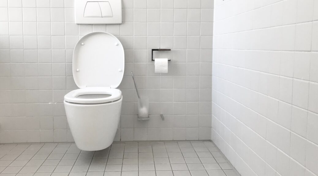 a clean toilet